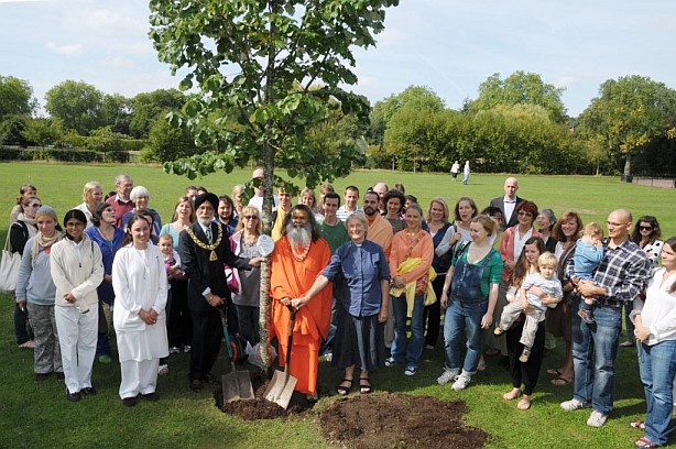 Békefa ültetés Londonban